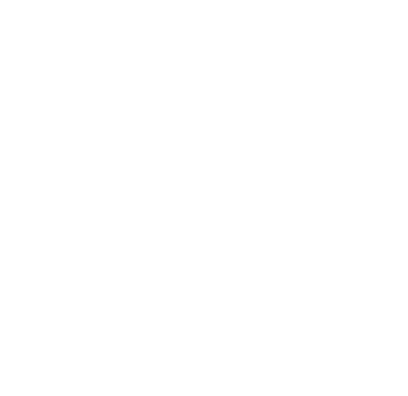 El Vikingo